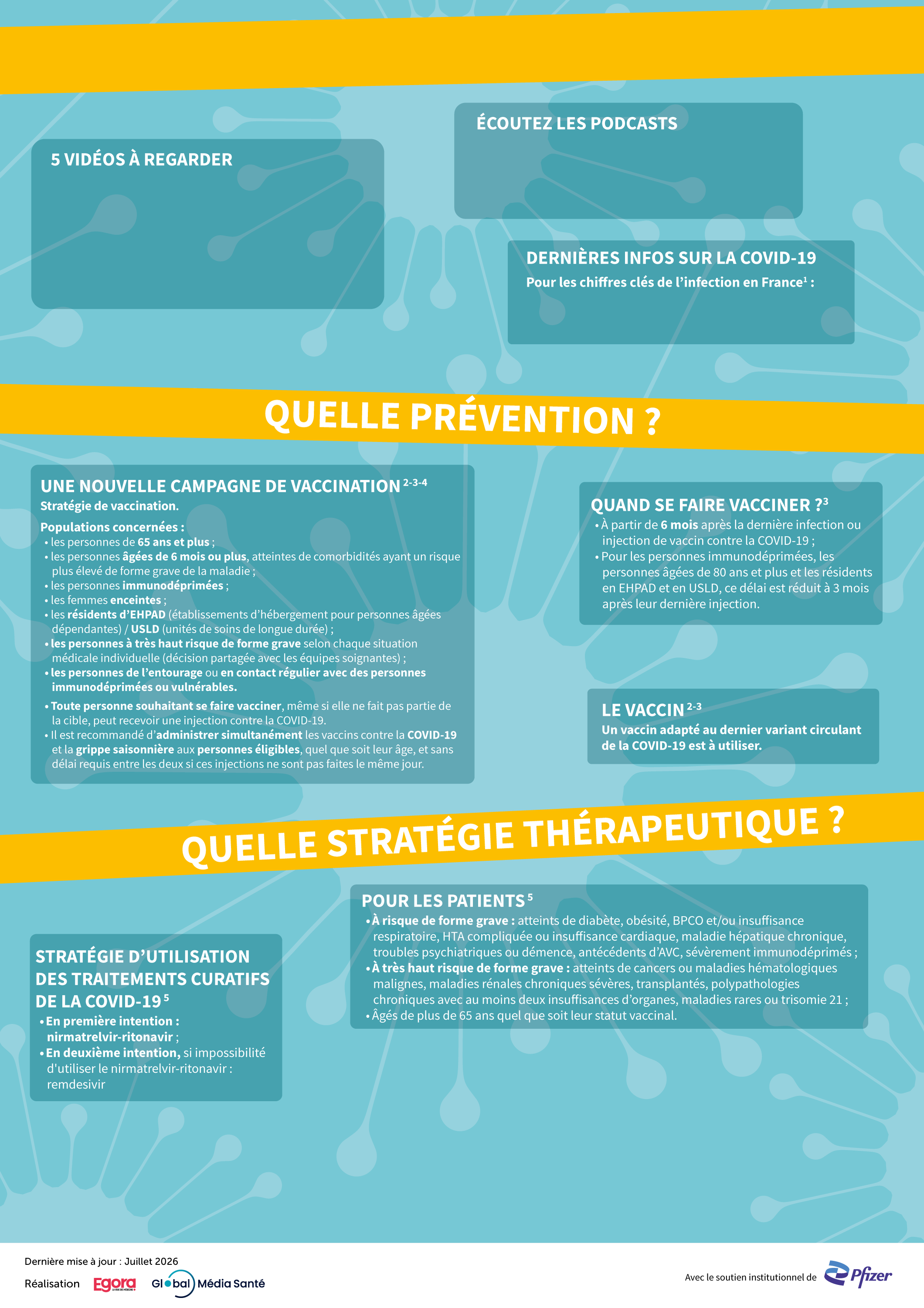 Poster COVID-19 : épidémiologie en France, campagne de vaccination, stratégie thérapeutique et Covid long.