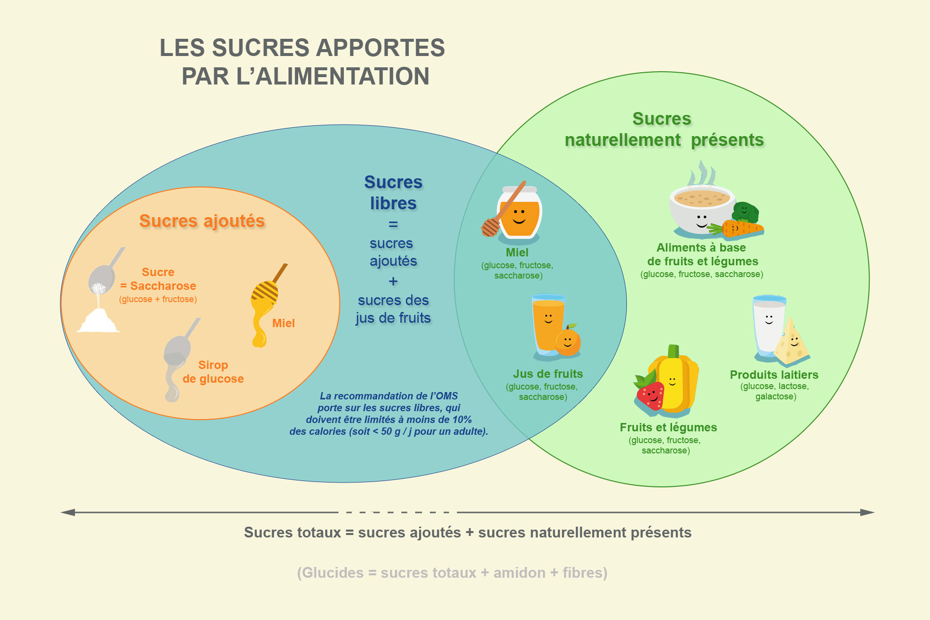 Glucides Sucres Et Sucre Cedus